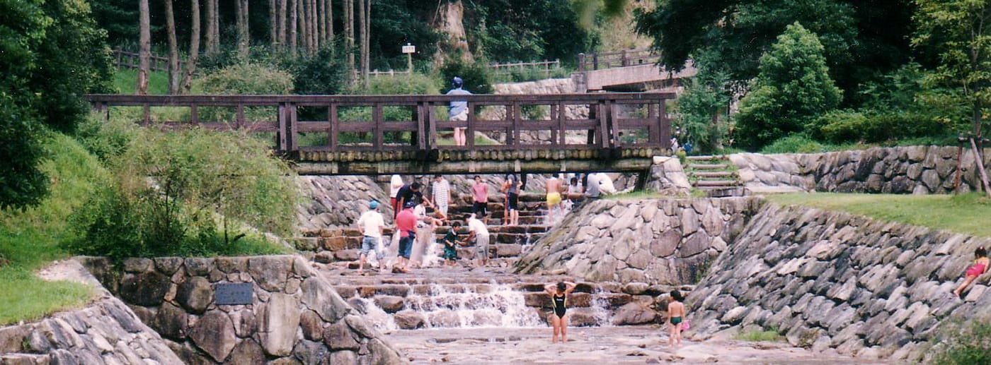 画像:整備された公園